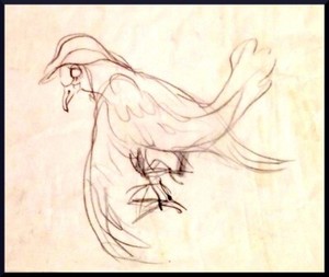 Julian Ritter_Dove-1_Charcoal on Vellum_ 7" x 9" Un-Signed- 446
